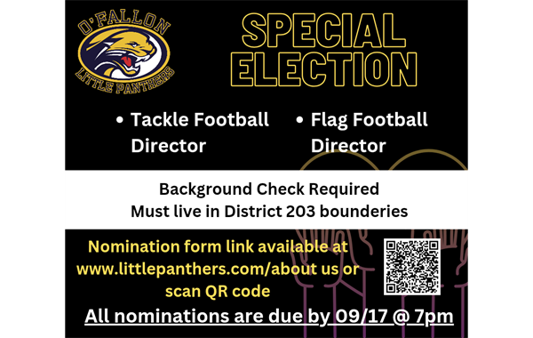 Special Elections